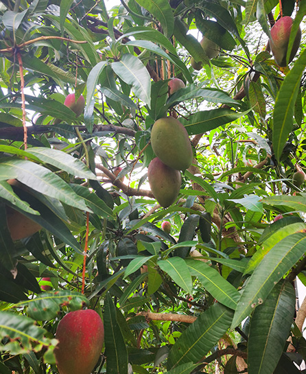 浙江嘉越建设有限公司