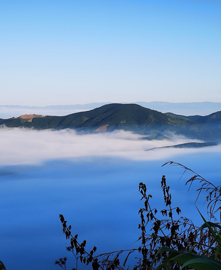浙江嘉越建设有限公司