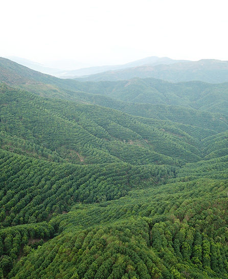 浙江嘉越建设有限公司