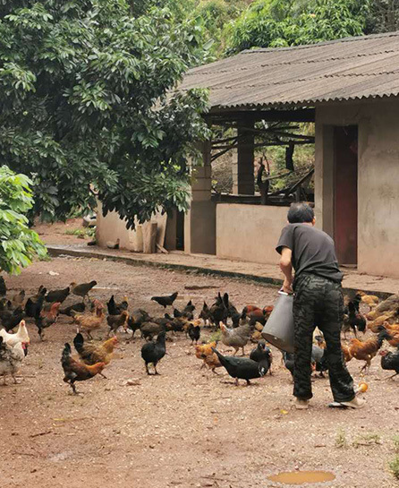 浙江嘉越建设有限公司
