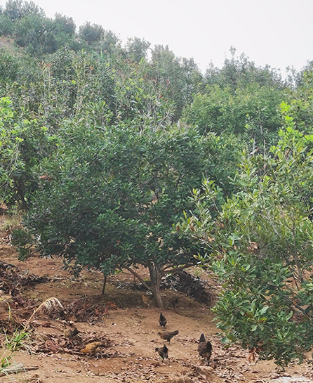 浙江嘉越建设有限公司